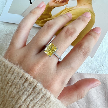 [Echo Fine ]4.0 Carat Luxurious Engagement Ring