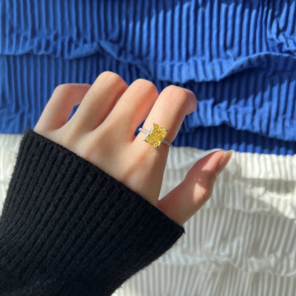 [Echo Fine ]4.0 Carat Luxurious Engagement Ring