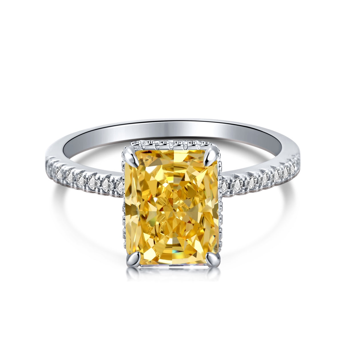 [Echo Fine ]4.0 Carat Luxurious Engagement Ring