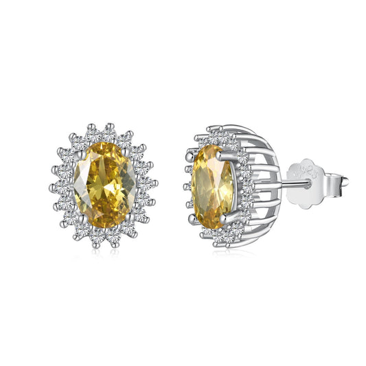 [Echo Fine ]Delicate Radiant Oval Cut Daily Earrings