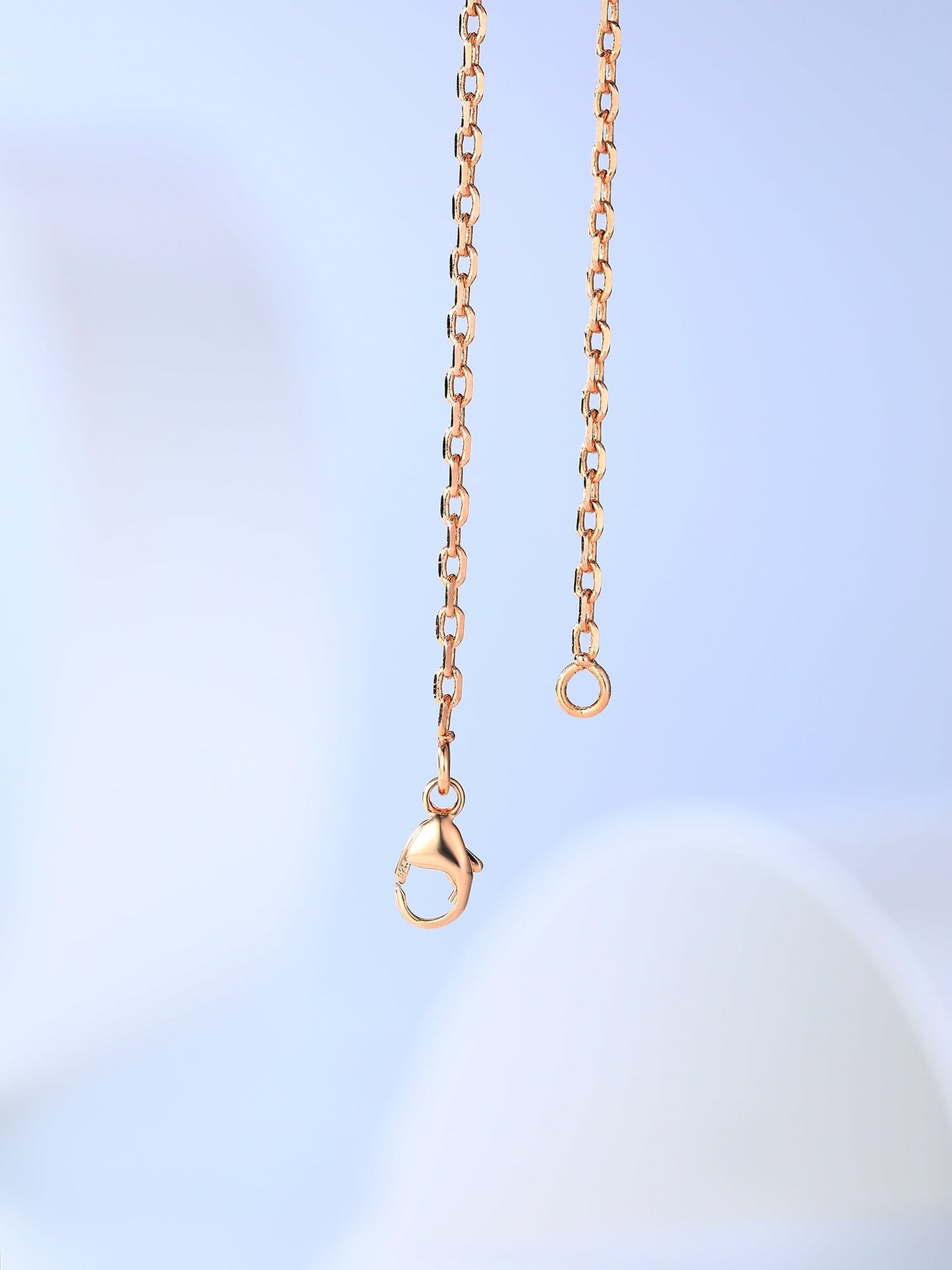 [Echo Fine ]H CAGE PINK GOLD NECKLACE